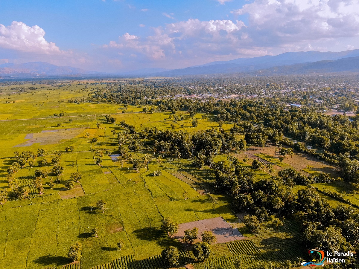 El futuro de la agricultura en Haití