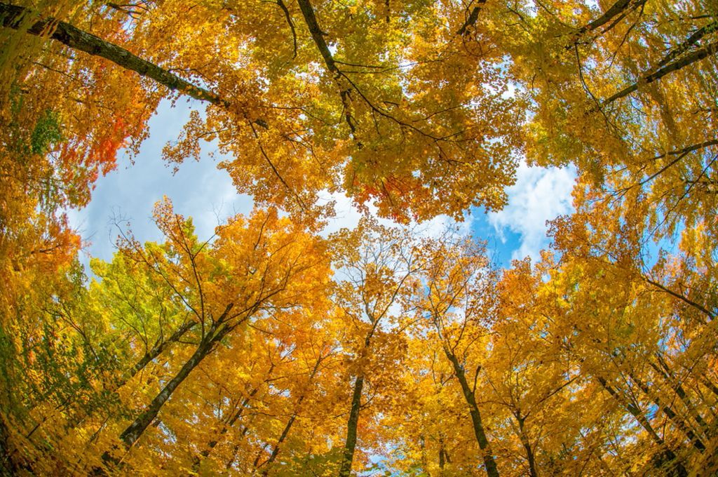 ¿Cuándo empiezan las 4 estaciones en Haití?