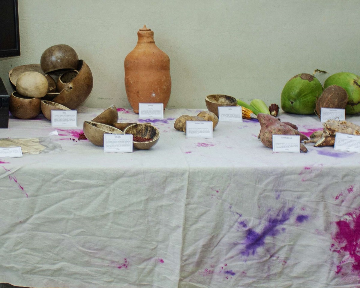 Un viaje al corazón de la herencia precolombina: una mirada retrospectiva al evento de supervivencia arawak, taïnos y ciboney