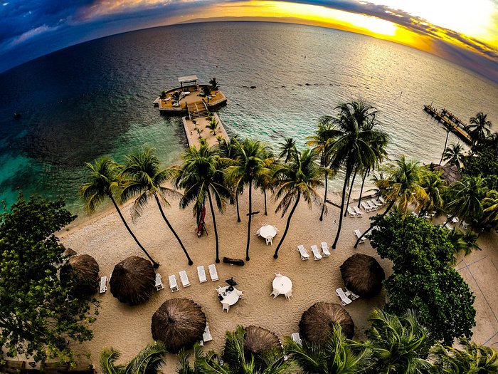 Rica historia, cultura vibrante, belleza natural, bienvenido a Haití Rica historia, cultura vibrante, belleza natural, bienvenido a Haití